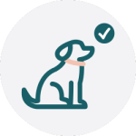 Dog Training