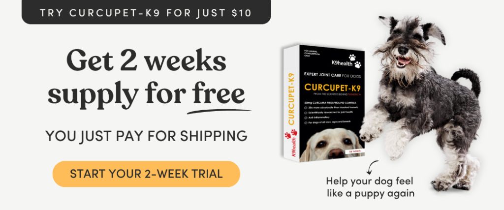 Try Curcupet-K9 for just $10