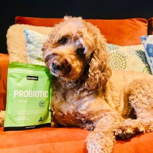 probiotic supplements for dogs
