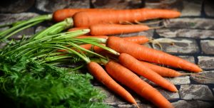 What are the benefits of carrots for dogs?