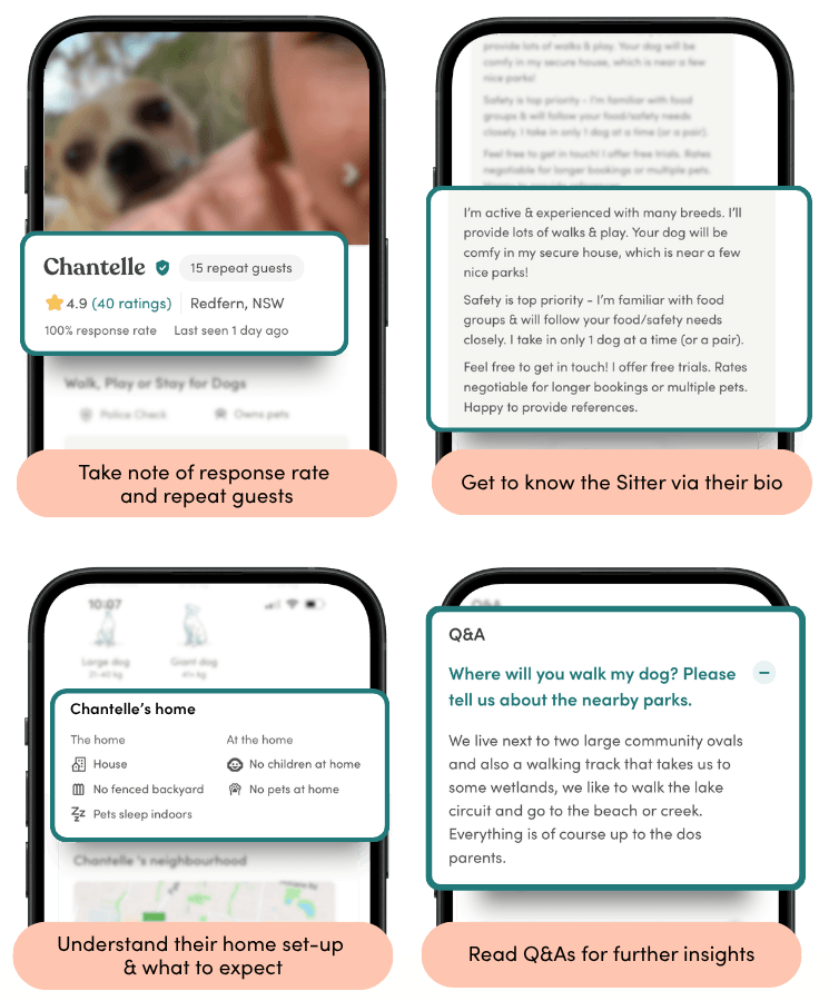What to look for in a Pet Sitter profile