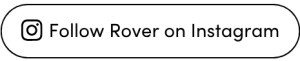 Follow Rover on Instagram