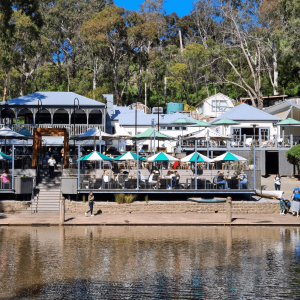 best dog friendly cafe melbourne