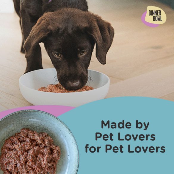 Mad Paws Dinner Bowl x Pet Sitter Cashback Mad Paws