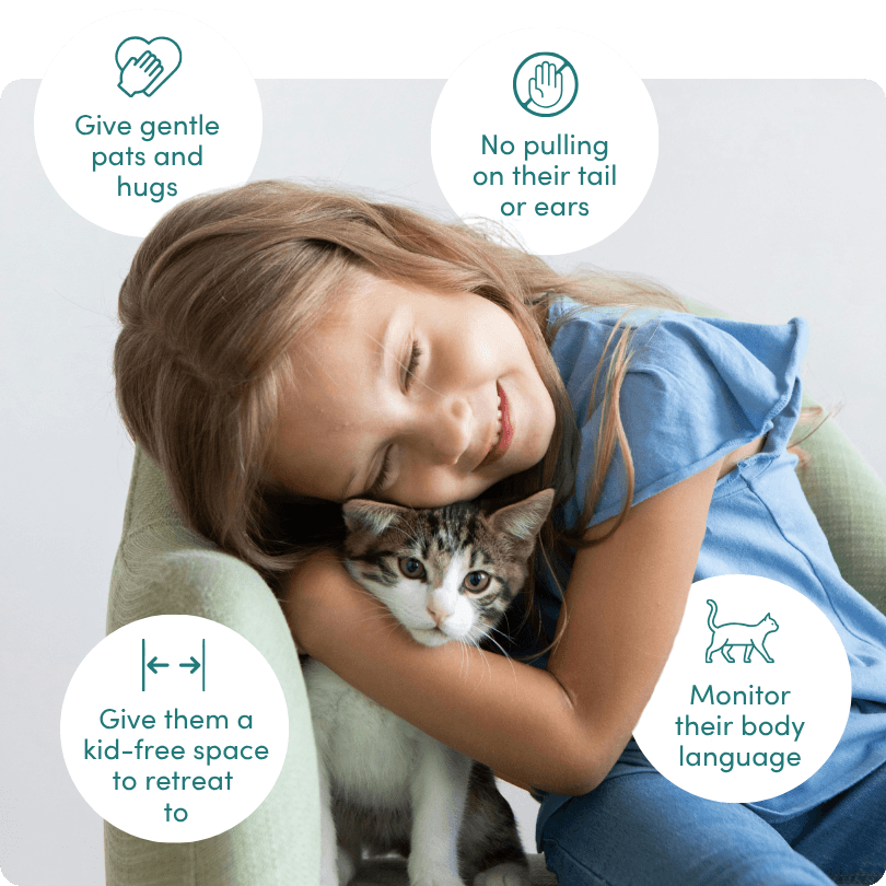 Safe play essentials for kids and cats