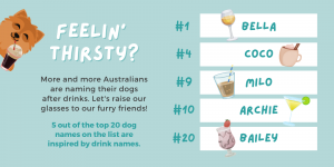 Dog Names Inspired by Drinks