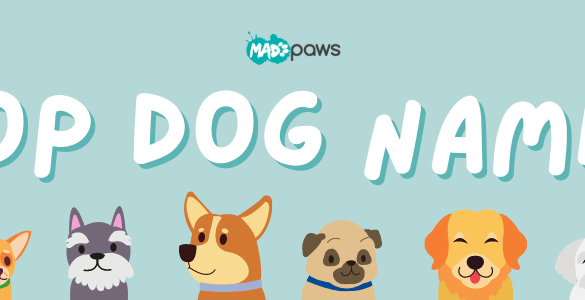 Top Dog Names and Most Popular Breeds | Mad Paws Top Dog Names and Most Popular Breeds | Mad Paws