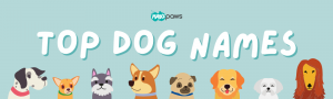 Top Dog Names