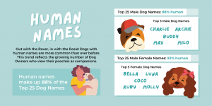 Best Pet Names Inspired by Humans