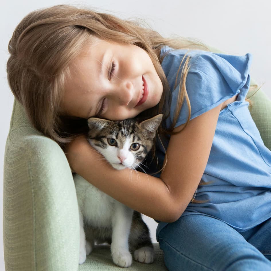 Looking for the best cat breeds for households with children?