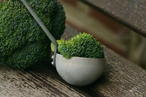Should My Dog Eat Broccoli?