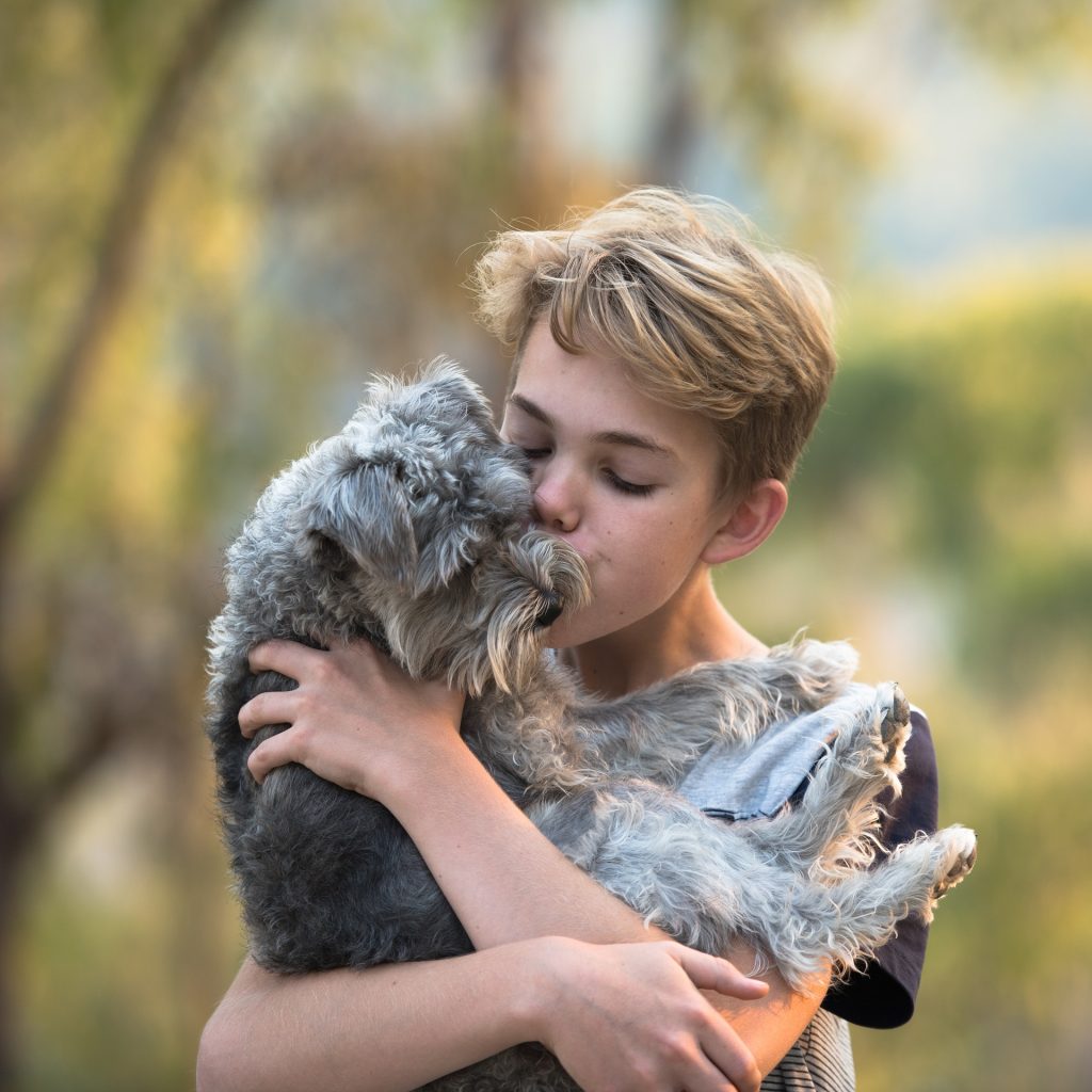 Do Dogs Like to be Hugged? Dog Behaviour Mad Paws Blog