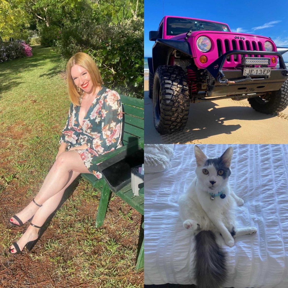 Mad Paws Office Manager Mad Paws Office Manager