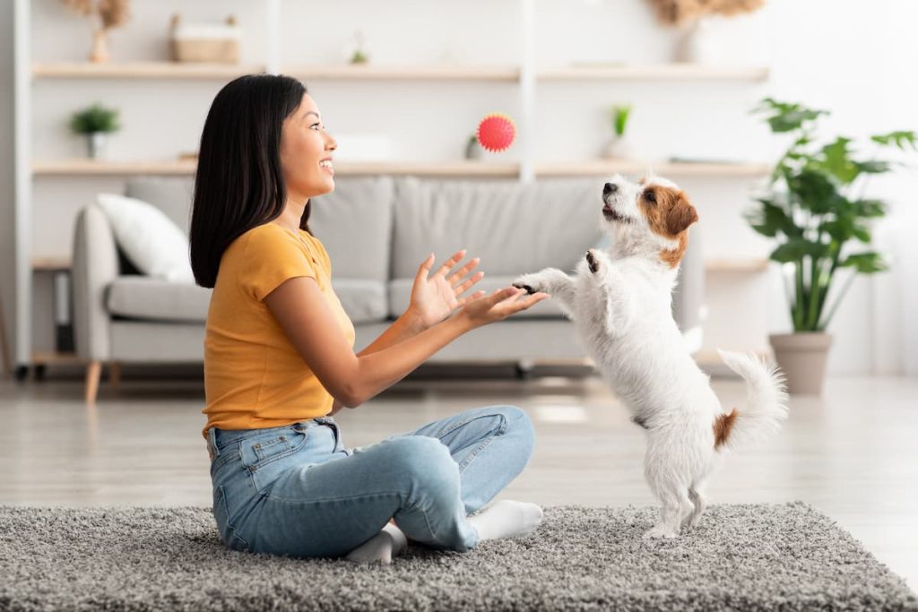 Conduct this simple test to see if your dog is colour blind