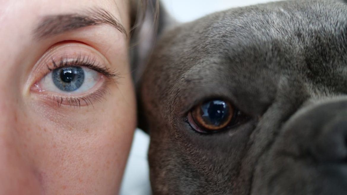 Let's find out... Are dogs colour blind?