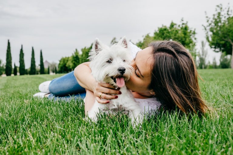 How Much Time Should Dogs Spend with Their Owners? Mad Paws