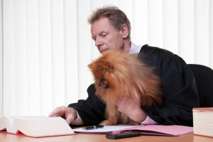 Court Cases Involving Celebrity Pets