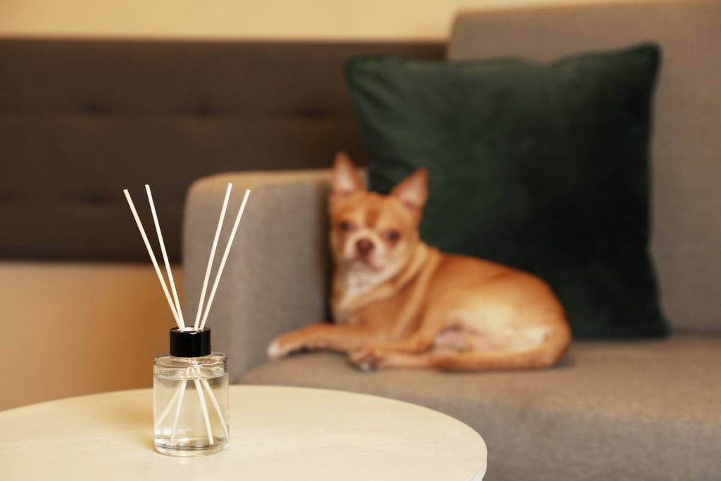 are diffusers safe for dogs