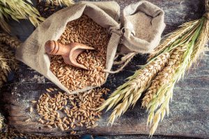 Grain-Free Diet for Dogs