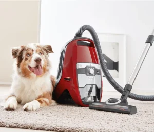 Miele Blizzard Bagless Vacuum sucks up pet hair very well