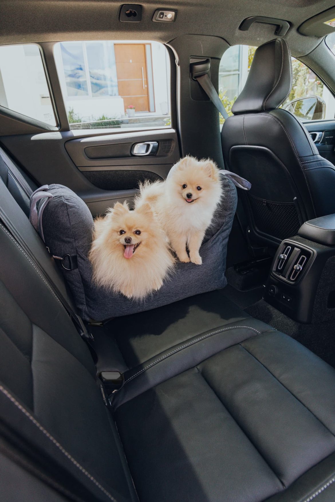 dog car seat belt car bed