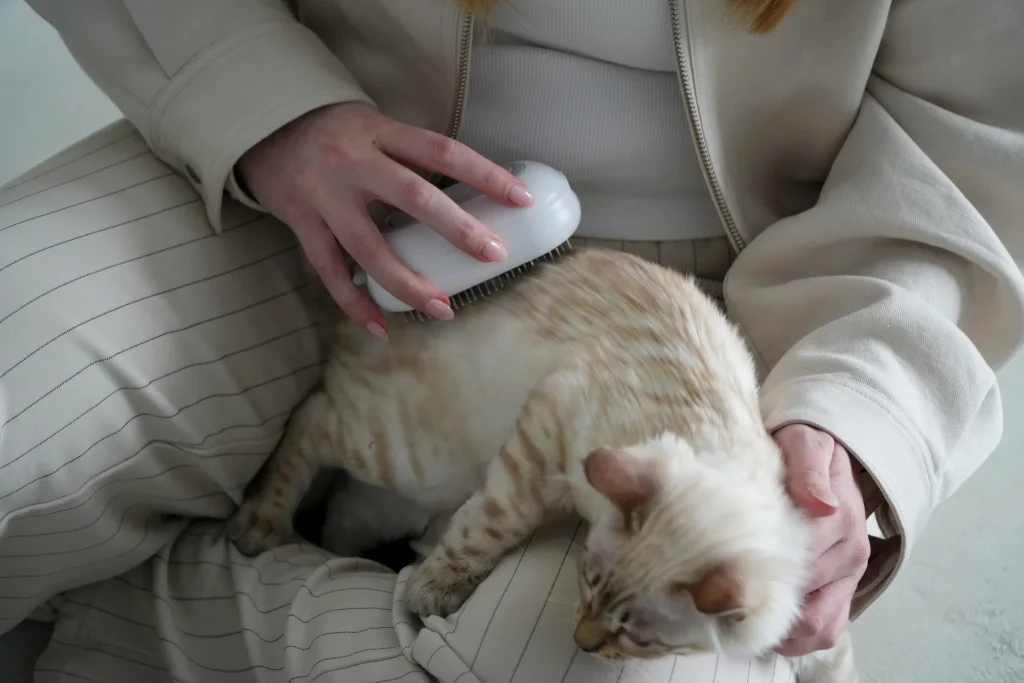 How to manage cat hair