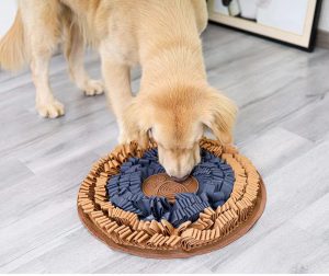 Snuffle mats can help reduce separation anxiety by re-directing their attention to a game!