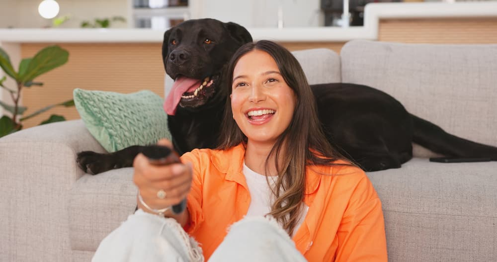Our fave dog friendly tv shows to watch with your furry bestie