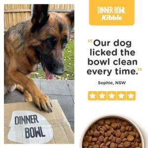 Dinner Bowl dog kibble