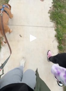 See what a typical Meet & Greet looks like: 