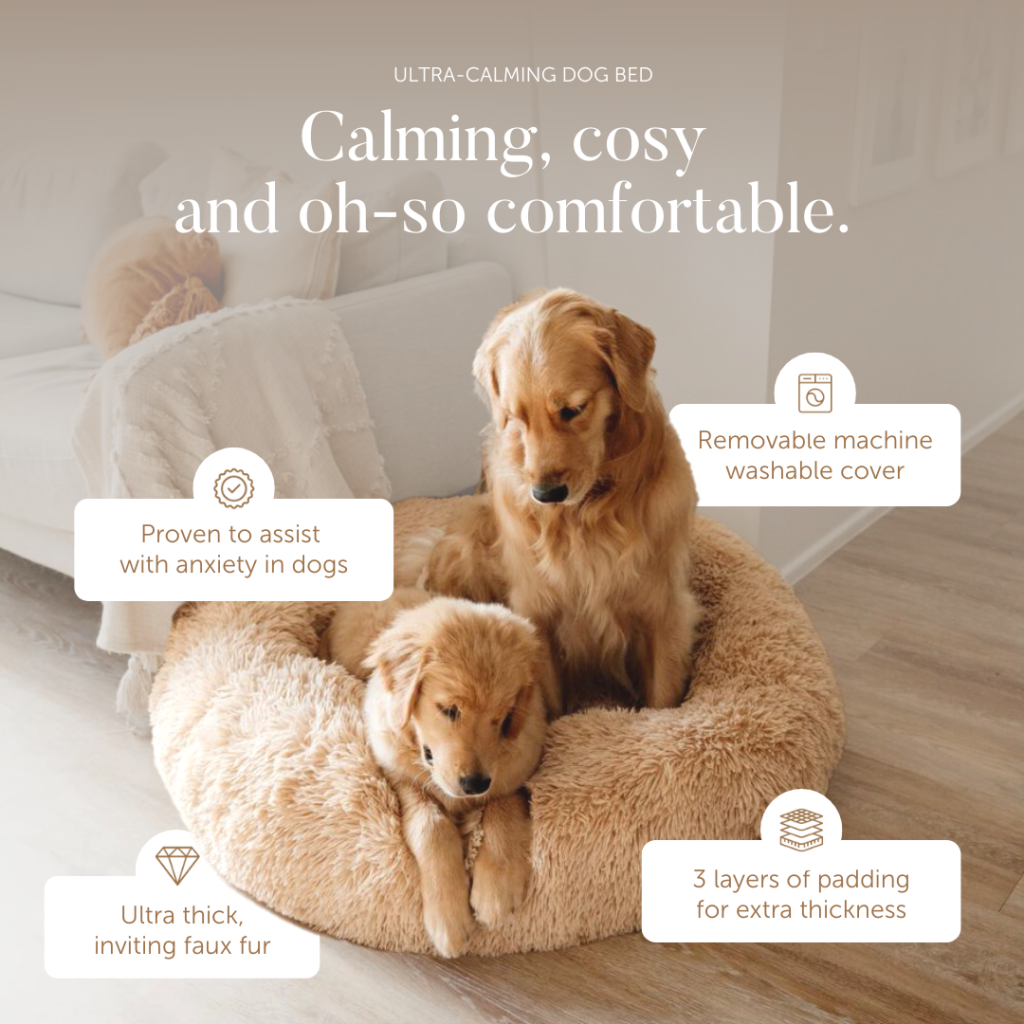 Dog Calming Bed Benefits