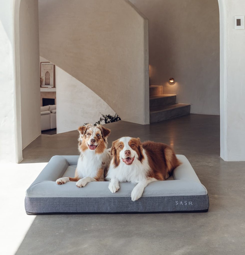 memory foam dog bed