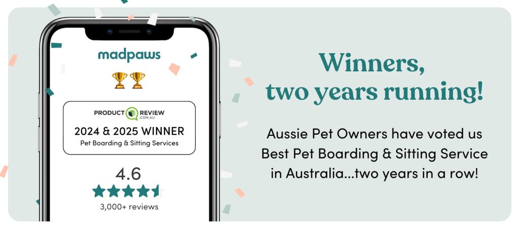 Mad Paws have been awarded best pet boarding and sitting service, two years in a row!