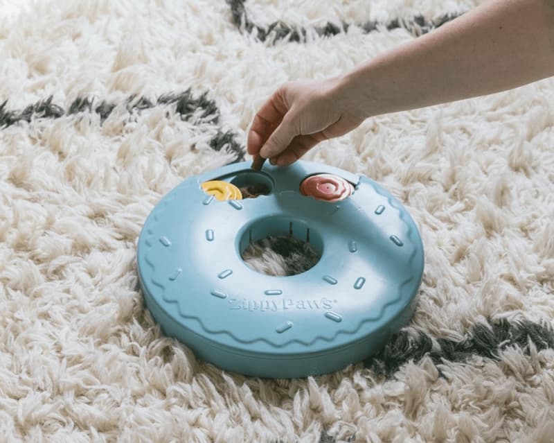 enrichment toys for dogs