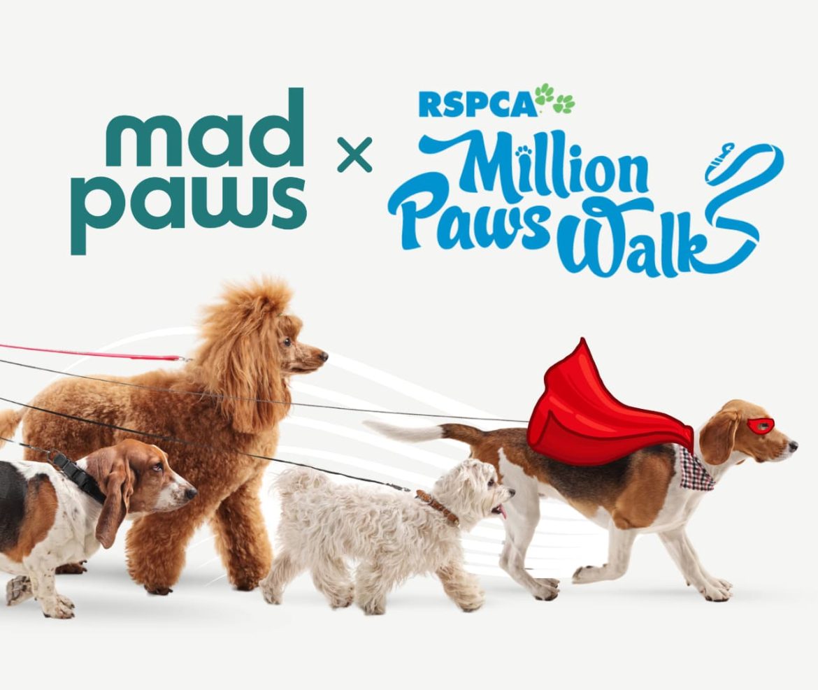 RSPCA Million Paws Walk