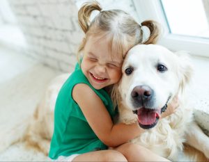 children and dogs safety