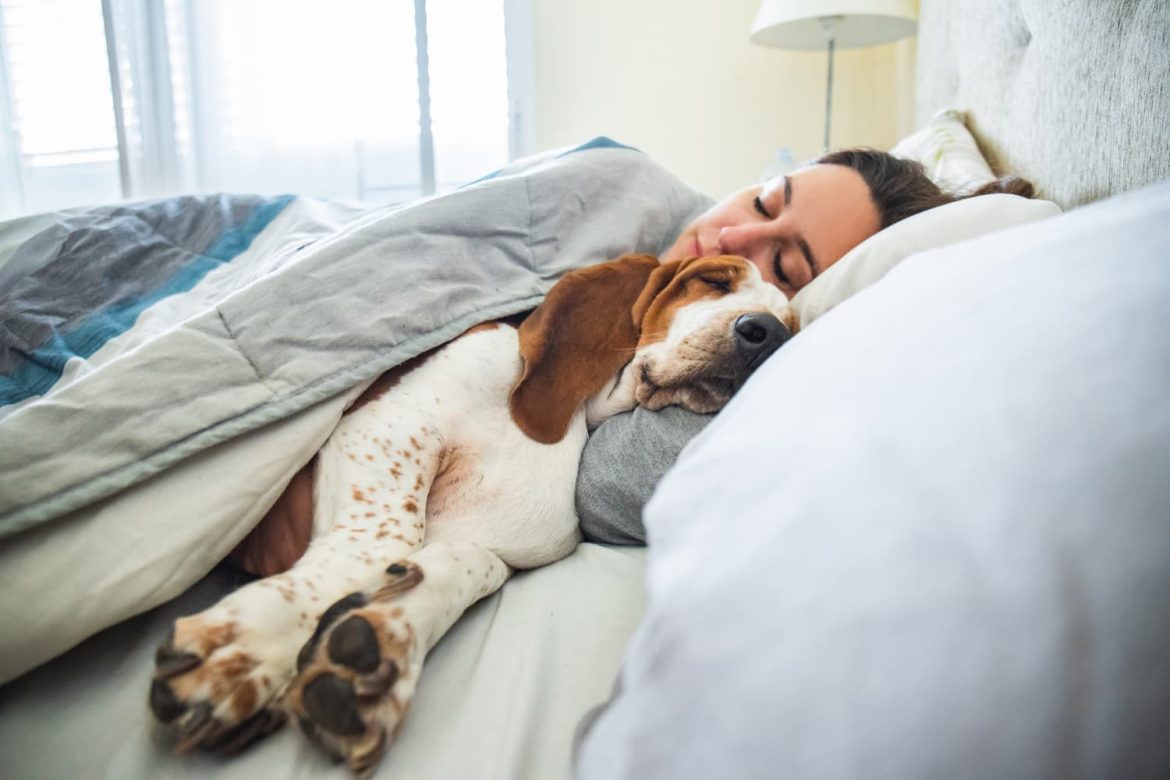 shutterstock_1380379799 (1) why does my dog sleep so close to me