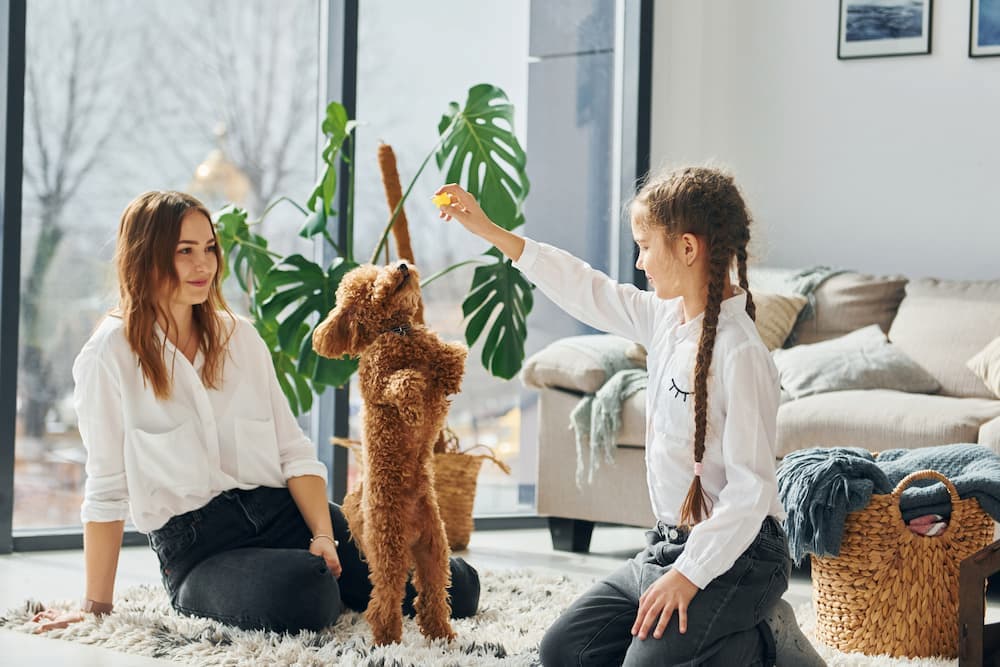 Managing the safety of kids and pets