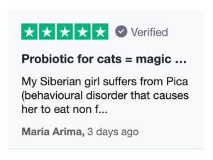 Petz-Park-Probiotic-for-cats
