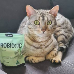 probiotics for cats