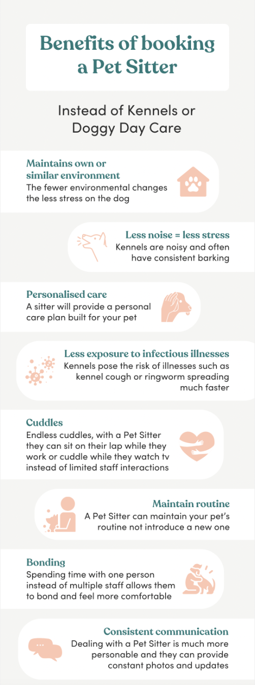 difference between pet sitting and traditional boarding kennels