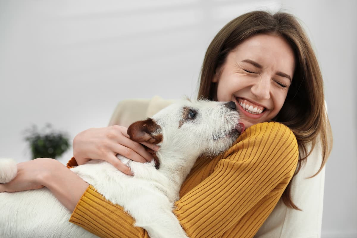 dog bad breath solution