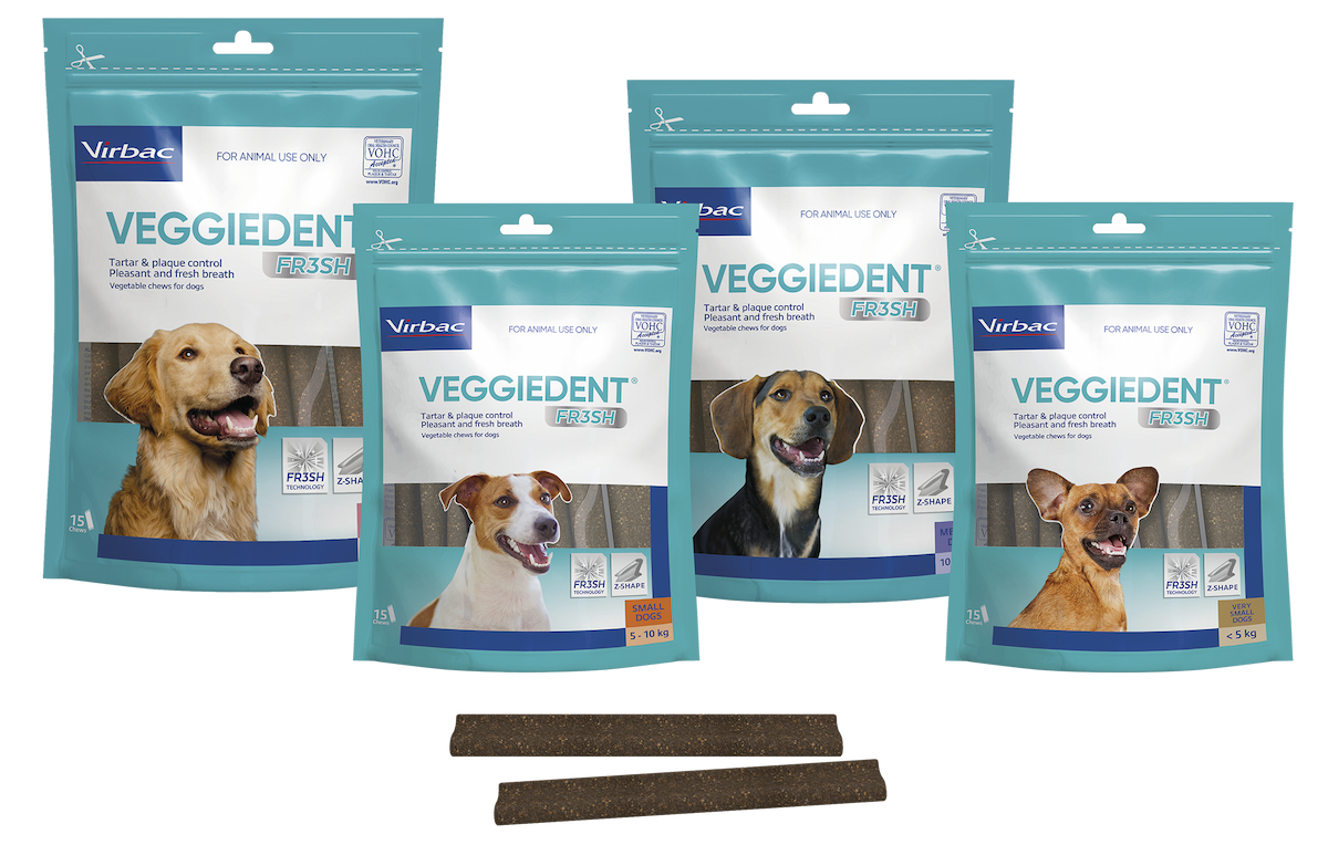 dog dental chews