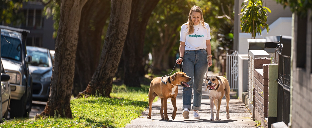 Mad Paws trusted pet sitting