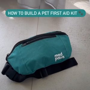 How to build a pet first aid kit