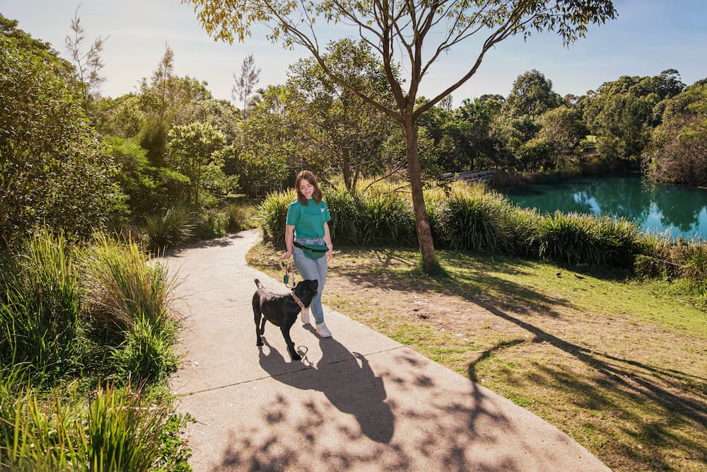 Pet Hosting Dog Walking