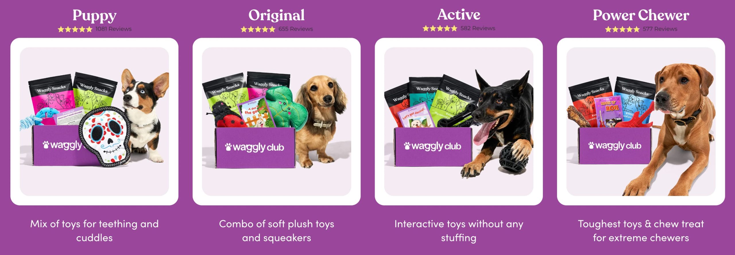 Waggly club dog toys treats click frenzy mayhem