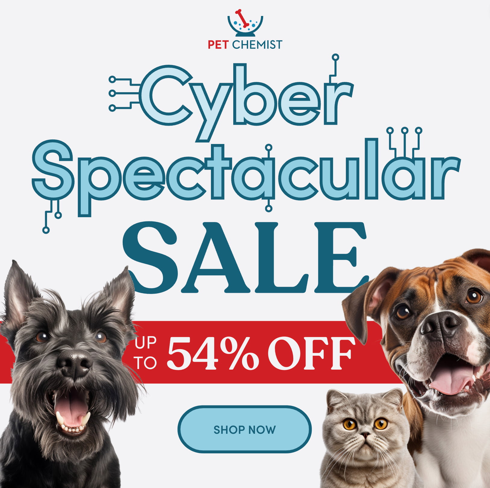 Human Food Your Dog Can Eat Mad Paws