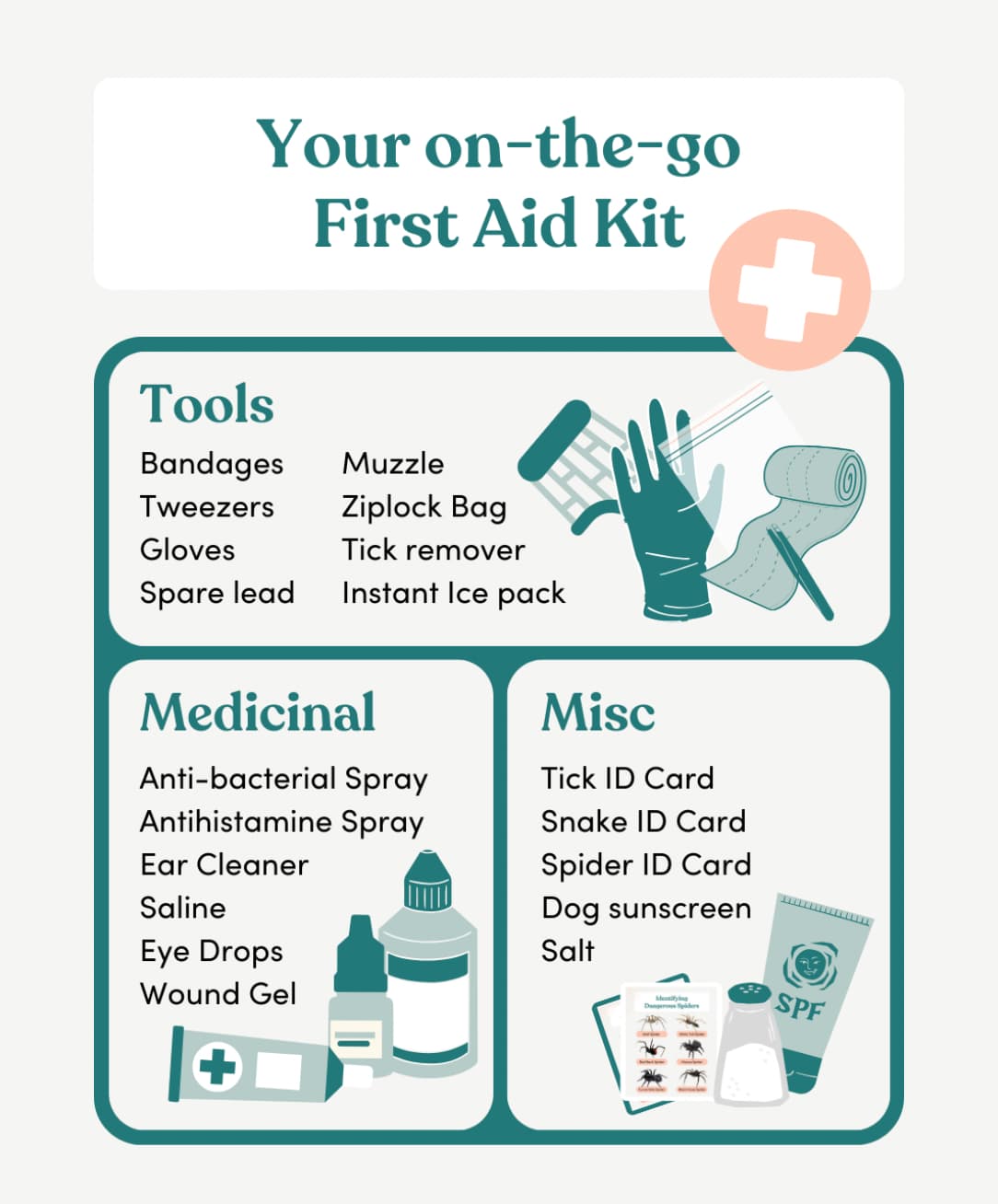 on-the-go pet first aid kit