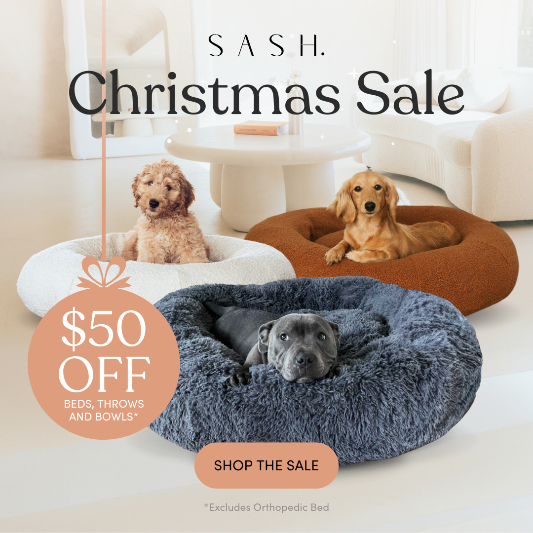 End of Year Christmas Sale